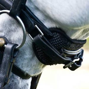 Kathy Connelly Chin Pad, Crown Pad